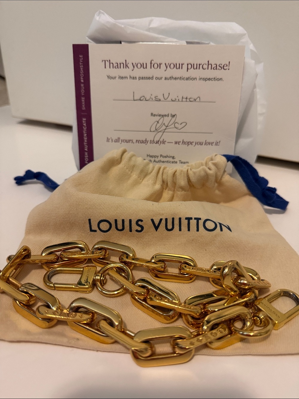 Authenticated Louis Vuitton Coussin PM Chain
